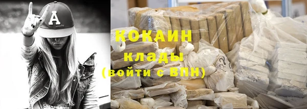 гашик Майский