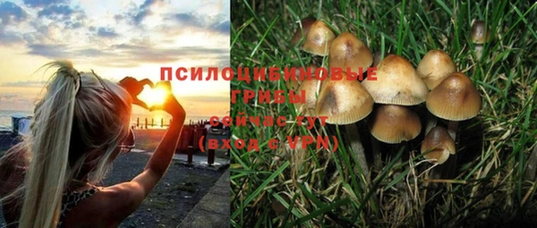 мяу мяу мука Орск