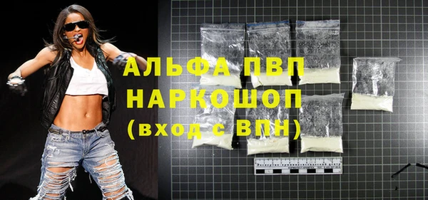 индика Осинники