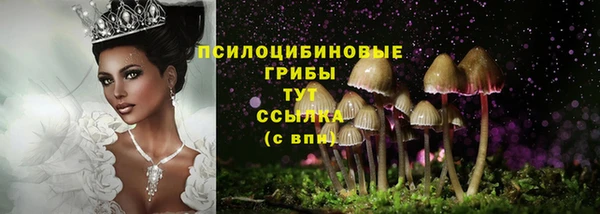 гашик Майский