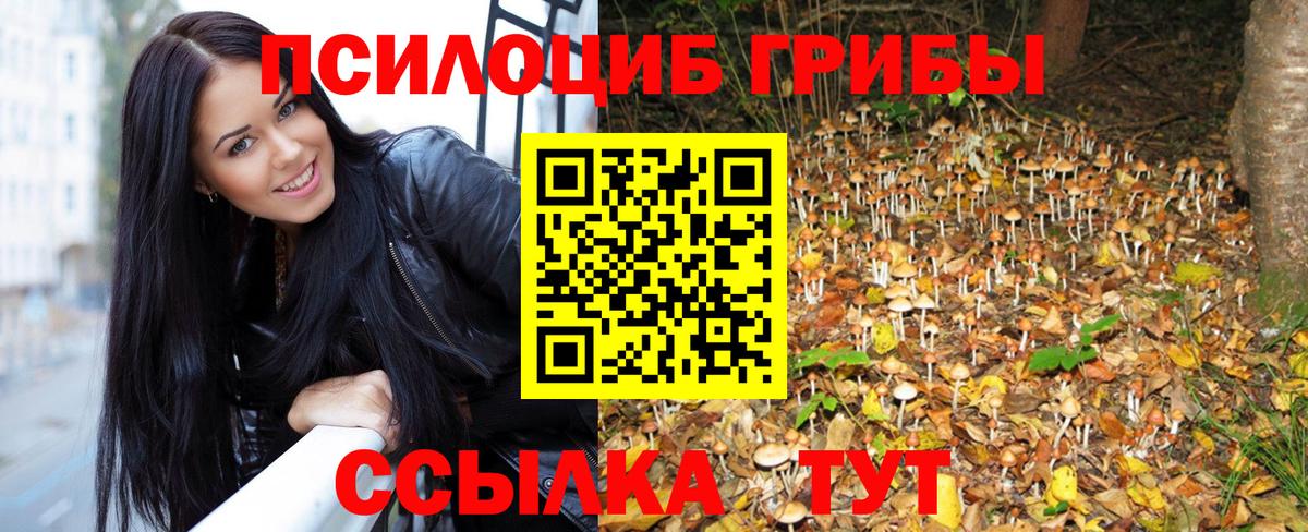 Петропавловск-Камчатский  Галлюциногенные грибы Psilocybe  Вход с VPN  купить наркотики цена  Галлюциногенные грибы MAGIC MUSHROOMS 