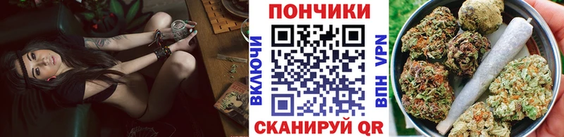 Шишки марихуана сатива  купить   darknet телеграм  Петропавловск-Камчатский 